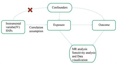 Causal relationship between ischemic stroke and its subtypes and frozen shoulder: a two-sample Mendelian randomization analysis